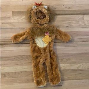 Lion Costume